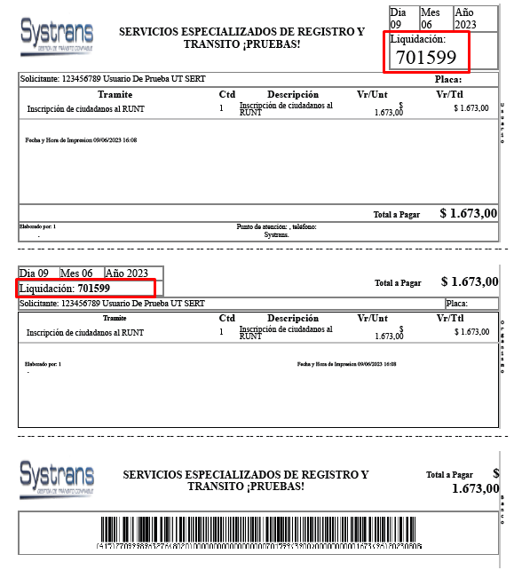 liquidacion PSE.png